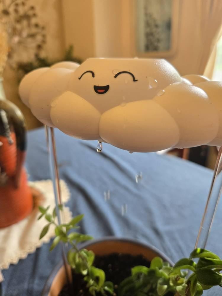 Customer photo review of Chelsea the Cloud