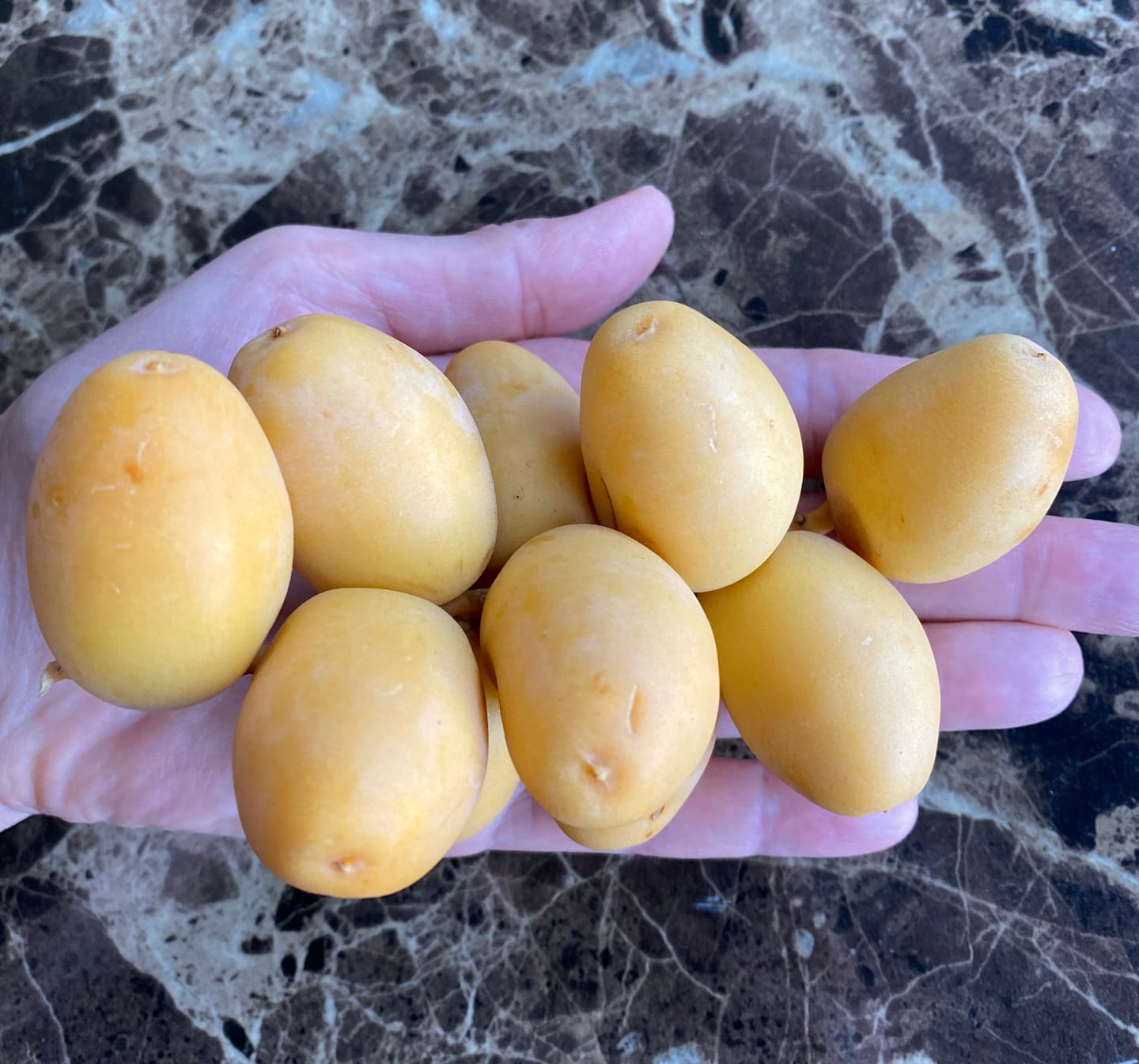 Customer photo review of Organic Yellow Barhi Dates (Khalal Barhi Dates)