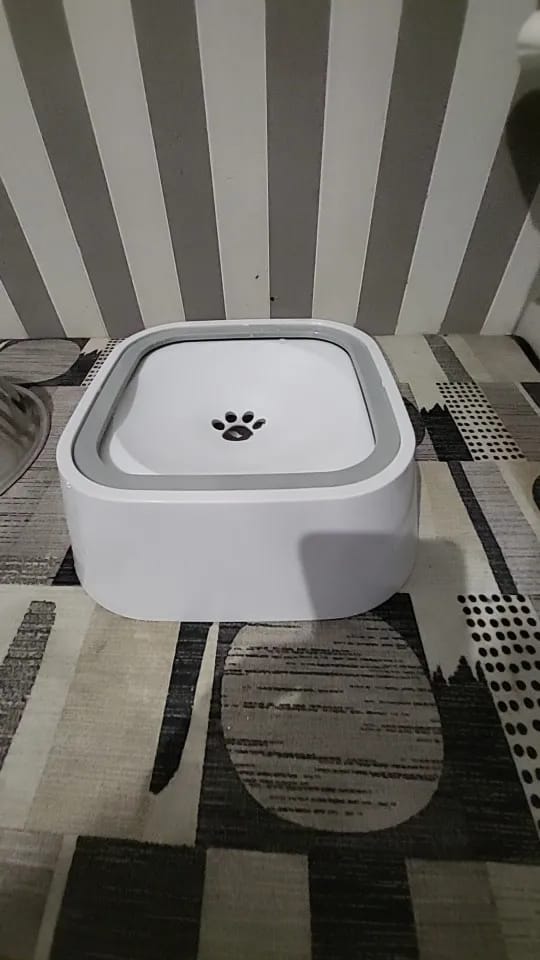 Customer photo review of Gamelle anti éclaboussure chien