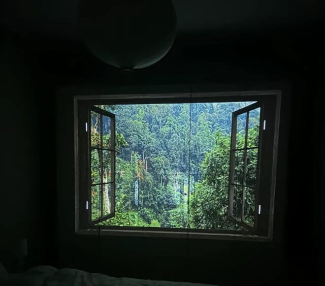 Customer photo review of Projecteur Lumiverse™