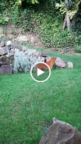 Customer video review of Gartenstecker Saxophonist