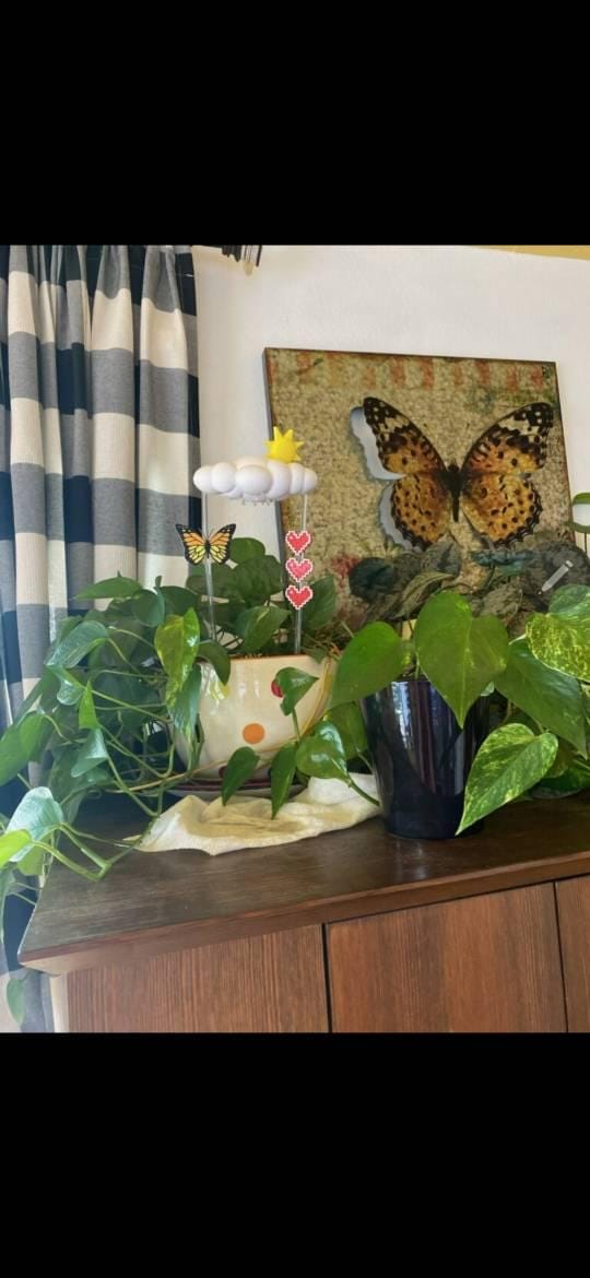 Customer photo review of Original Dripping Rain Cloud with Sun Charm
