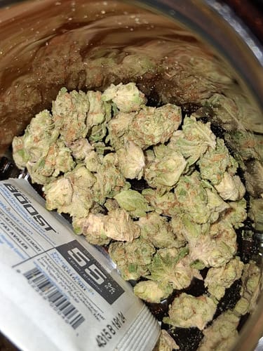 Customer photo review of Indoor Smalls