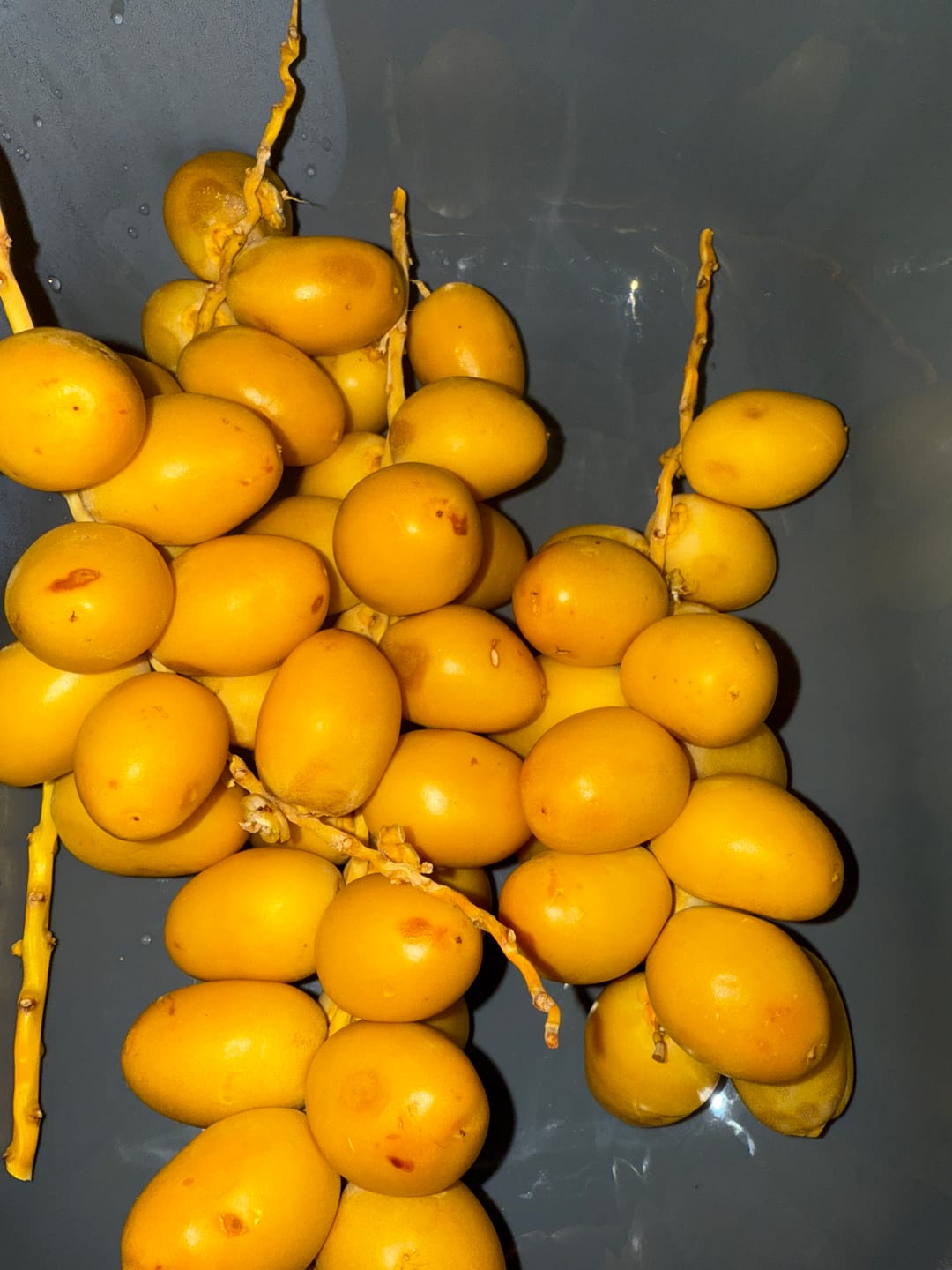 Customer photo review of Organic Yellow Barhi Dates (Khalal Barhi Dates)