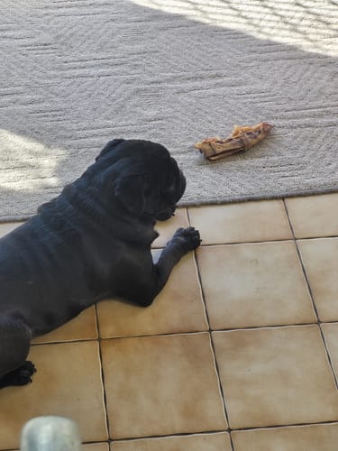 Customer photo review of Pork Trotter Halves