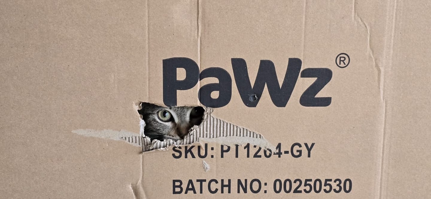 Customer photo review of Pawz Stainless Steel Cat Litter Box Large Semi-Enclosed
