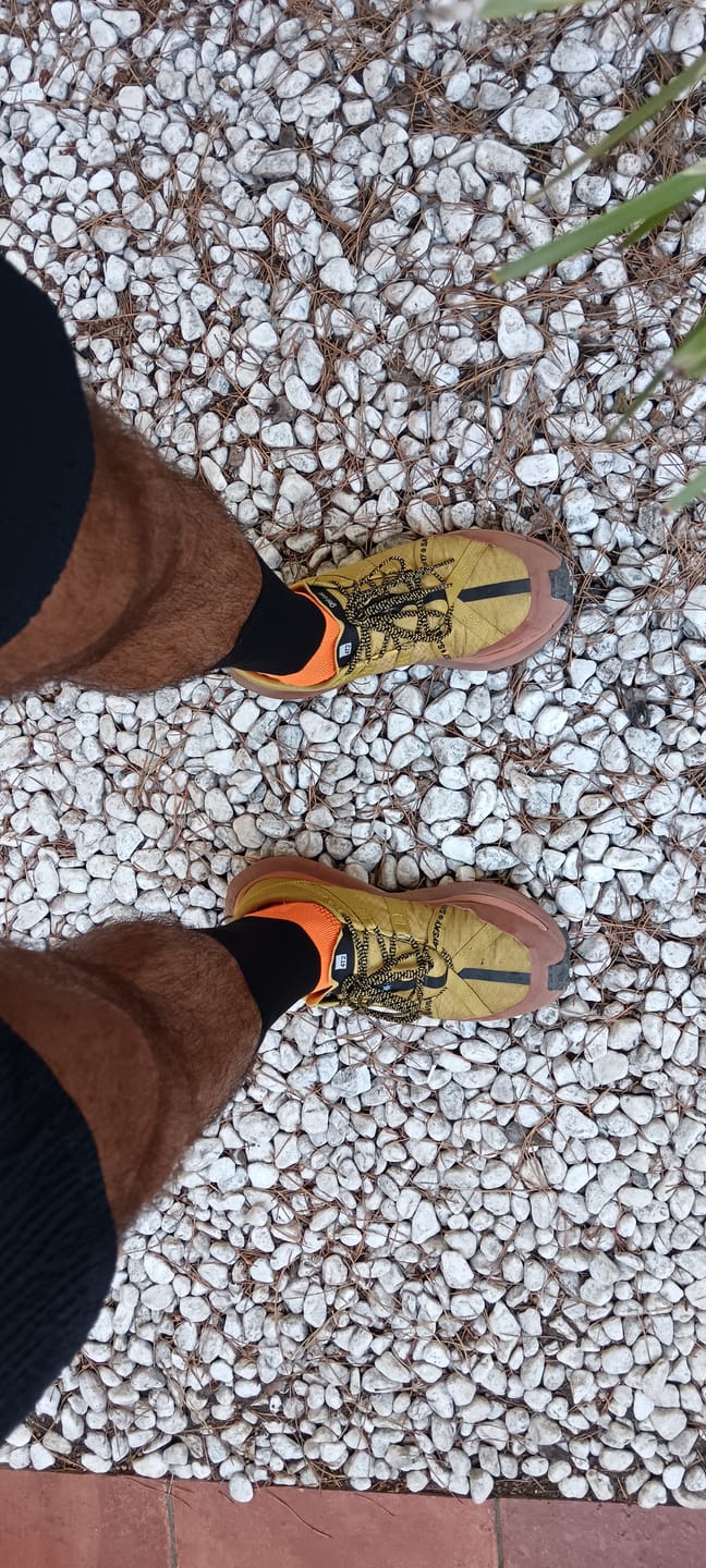 Customer photo review of get lost, saysky edition.