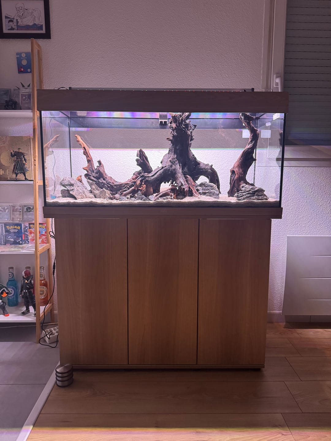 Customer photo review of Aquarium Rio 180 LED Chêne Équipé JUWEL - 180L