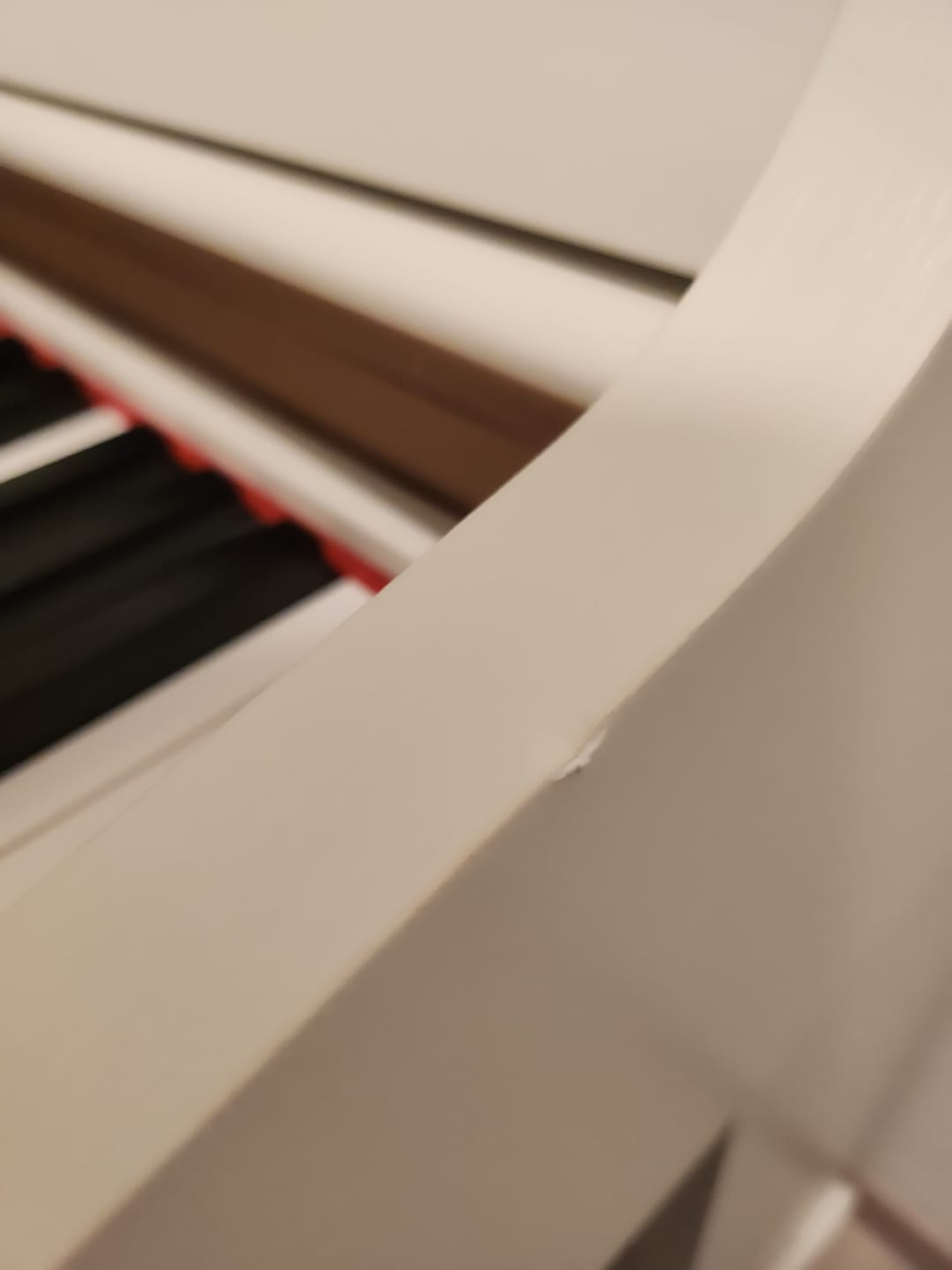 Customer photo review of Donner DDP-100 Vertical lesté Piano Numérique