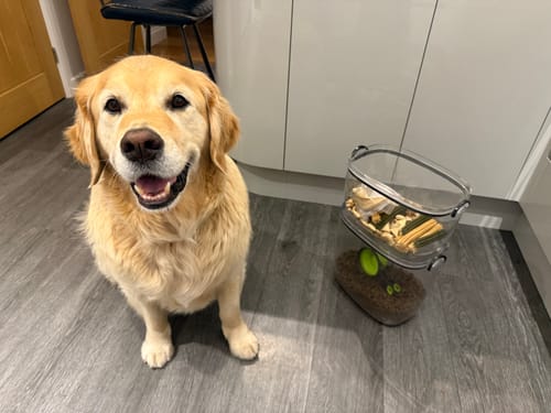 Customer photo review of Large Container Storage Box