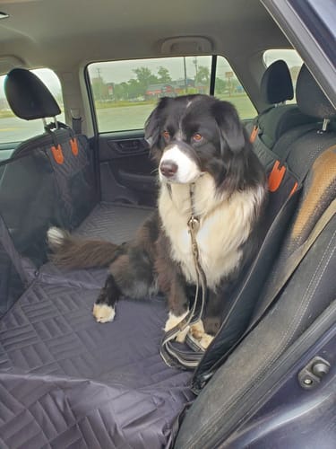 Customer photo review of Hard Bottom Seat Cover