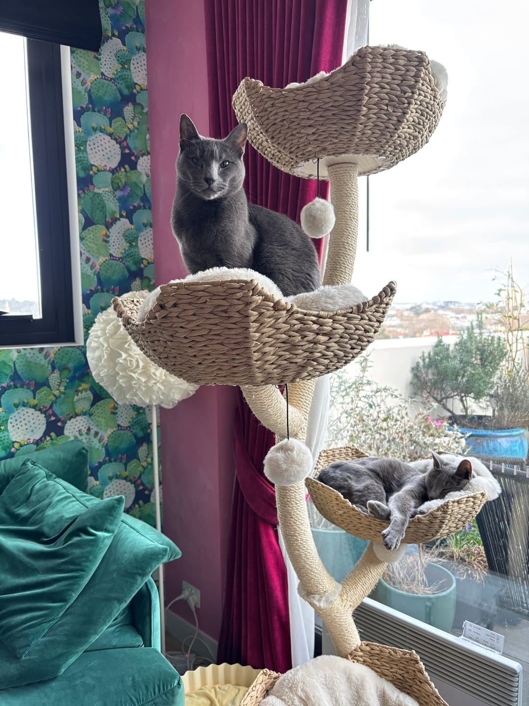 Customer photo review of MICHU Ivy Cat Tower Deluxe 4-Tier Designer Tall Cat Tree Pre Order