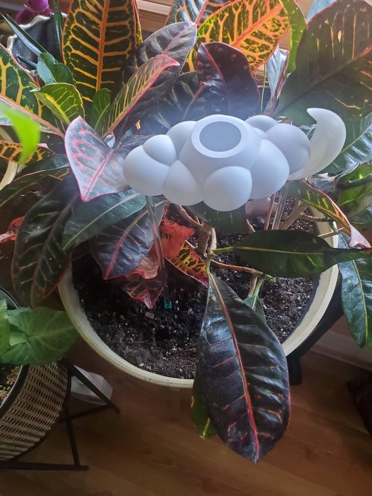 Customer photo review of Original Dripping Rain Cloud with Glow in the Dark Moon Charm