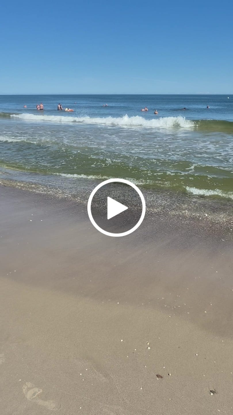Customer video review of Smartphone Dry Bag – wasserdicht für Strand, Regen & Schwimmen