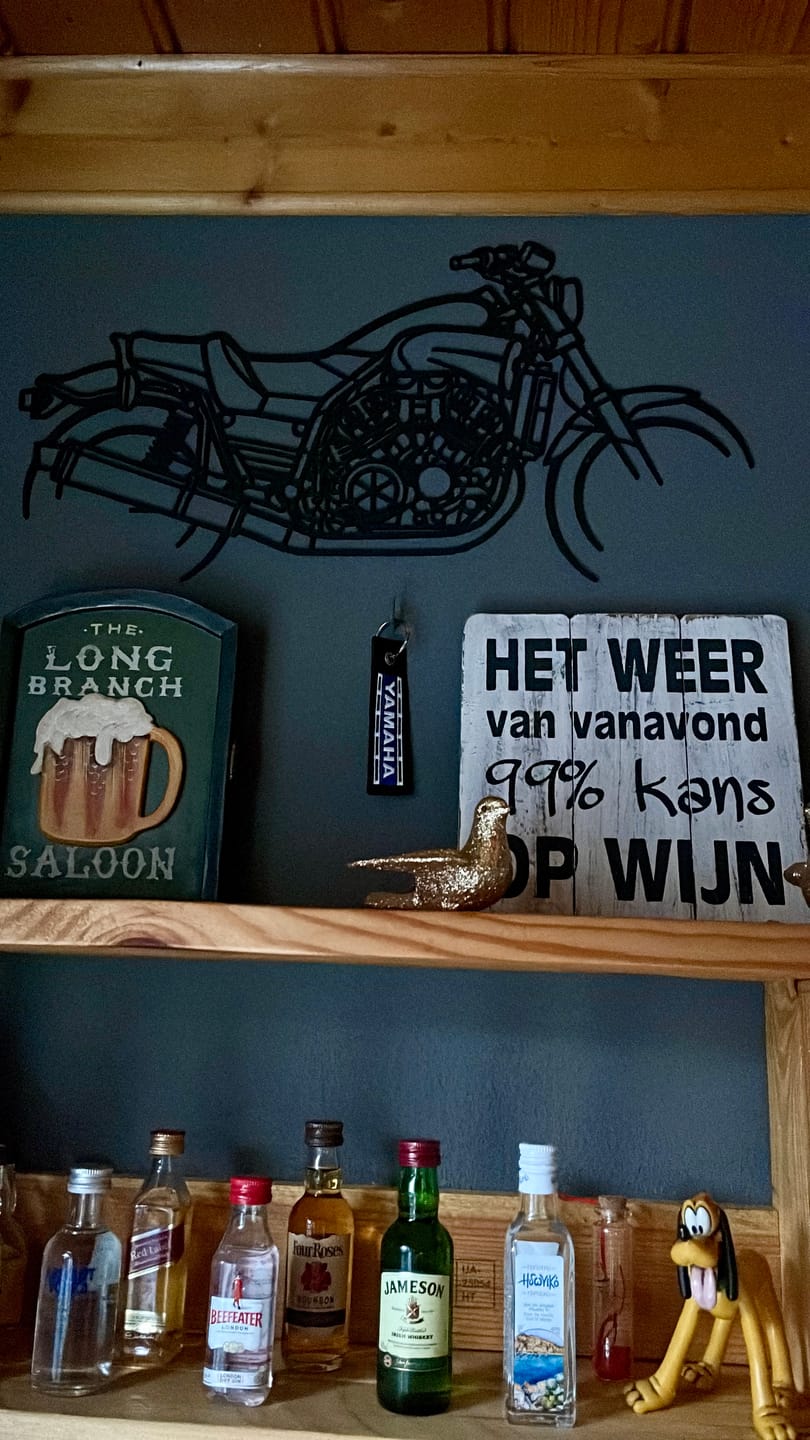 Customer photo review of V Max 2004 Silhouette Metal Wall Art