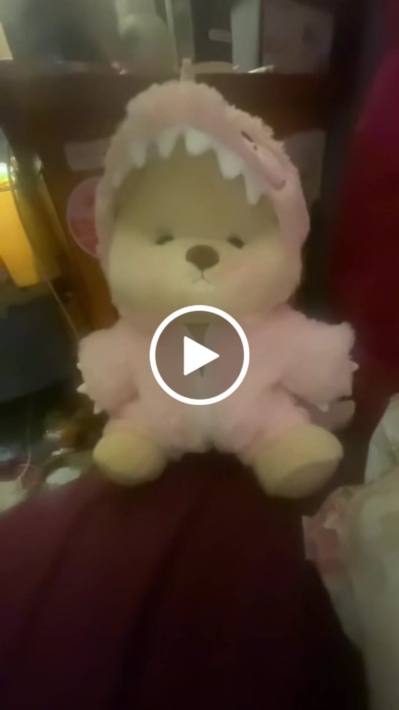 Customer video review of Pink Dino