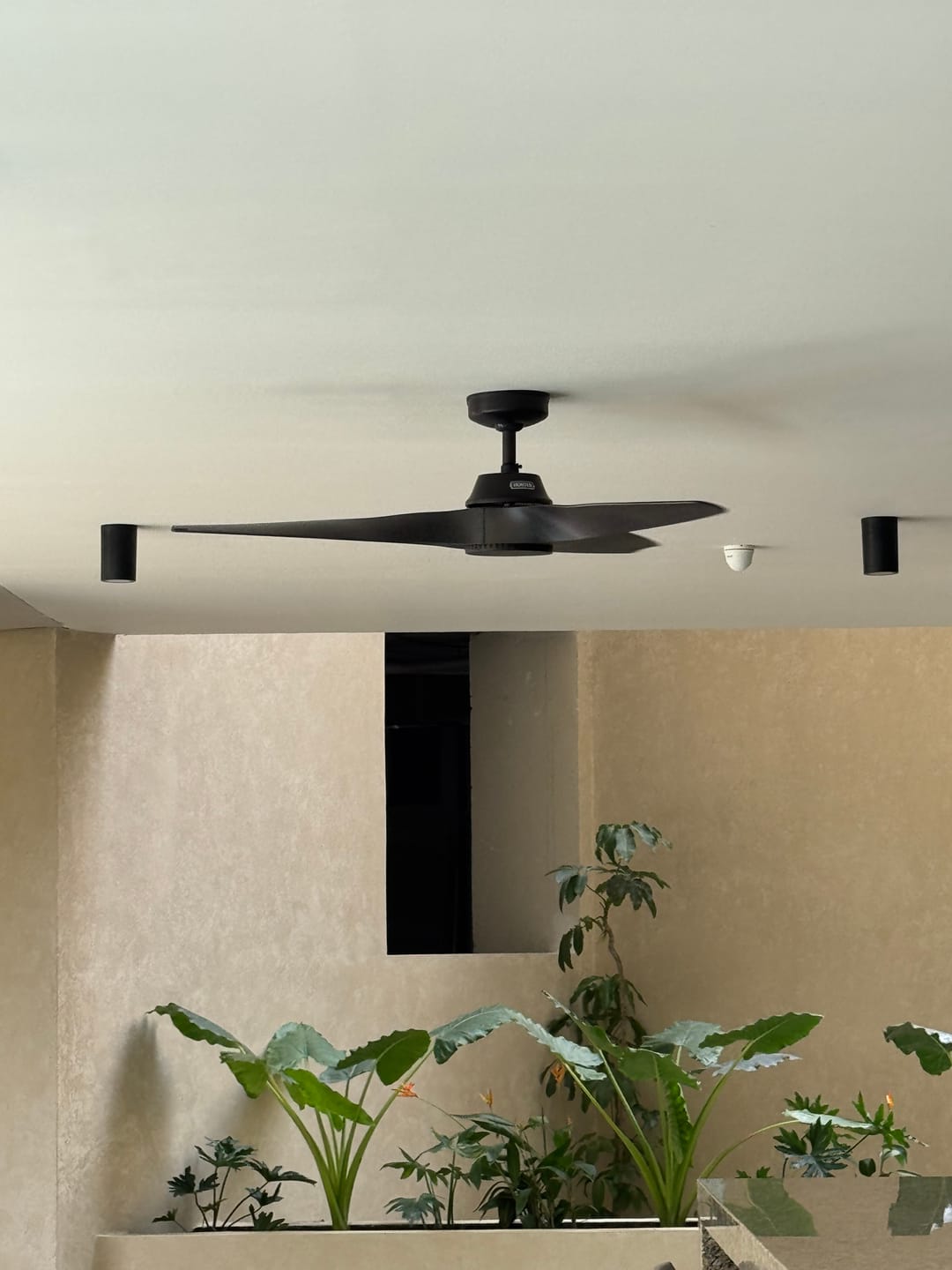 Customer photo review of Ventilador de Techo Mosley para Exterior 52 pulgadas
