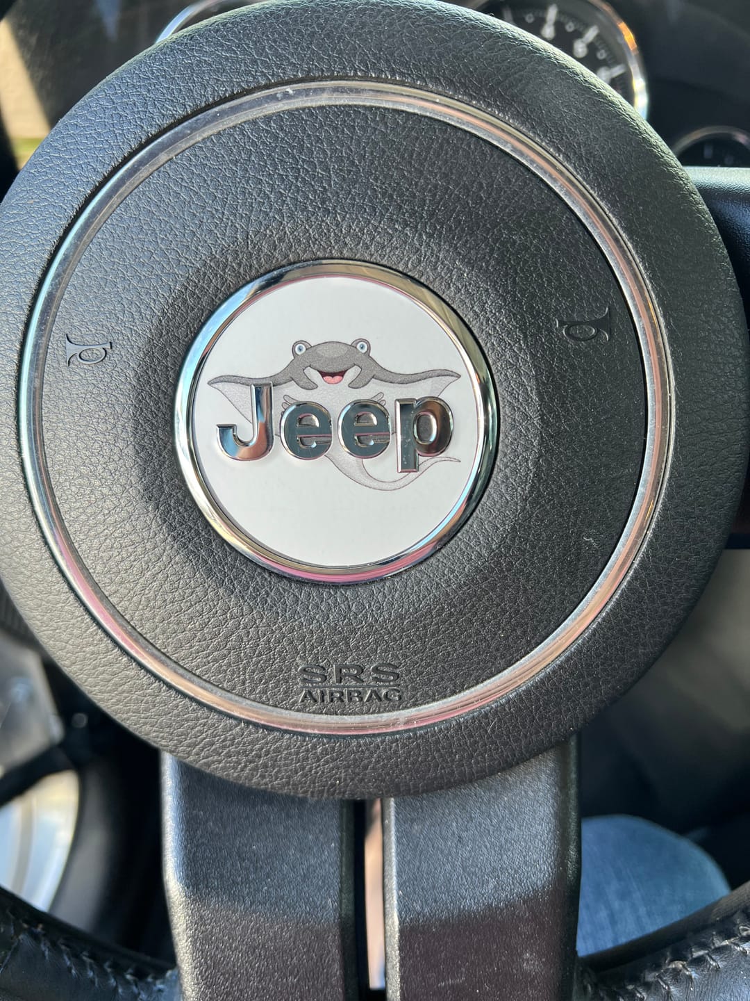Customer photo review of Design Your Own Steering Wheel Decal for Jeep