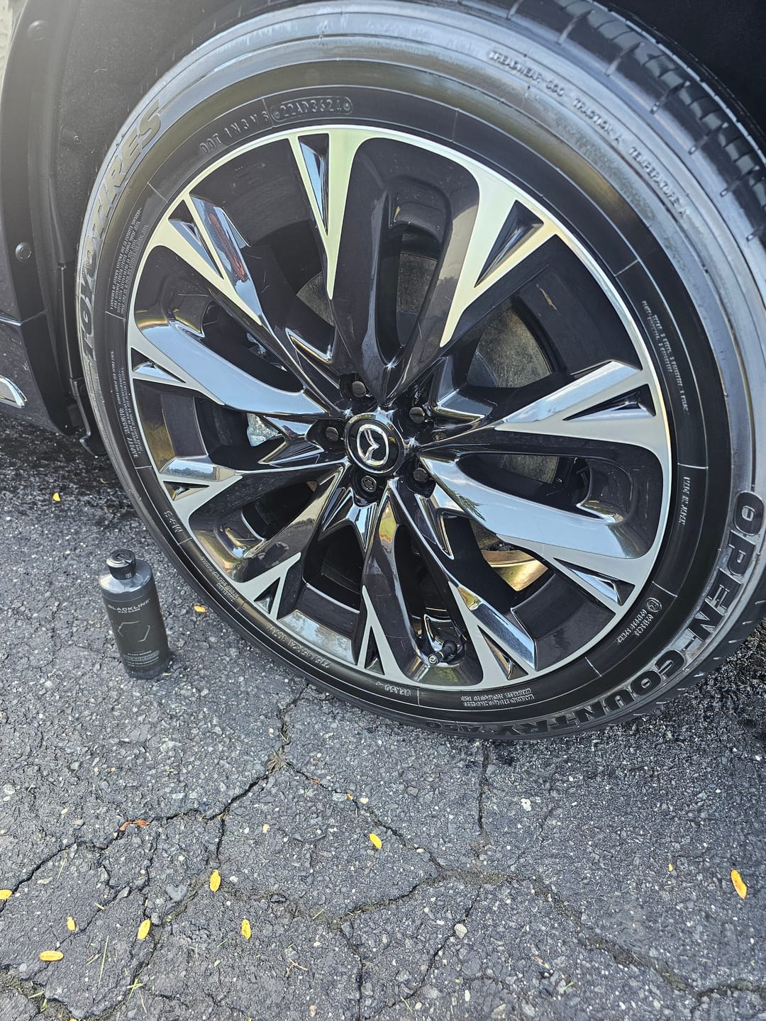 Customer photo review of BLACKLINE® BLACKOUT TRIM & TIRE DRESSING