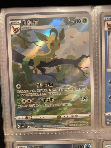 Customer photo review of Pokemon Gem Pack Vol 2 Booster Box