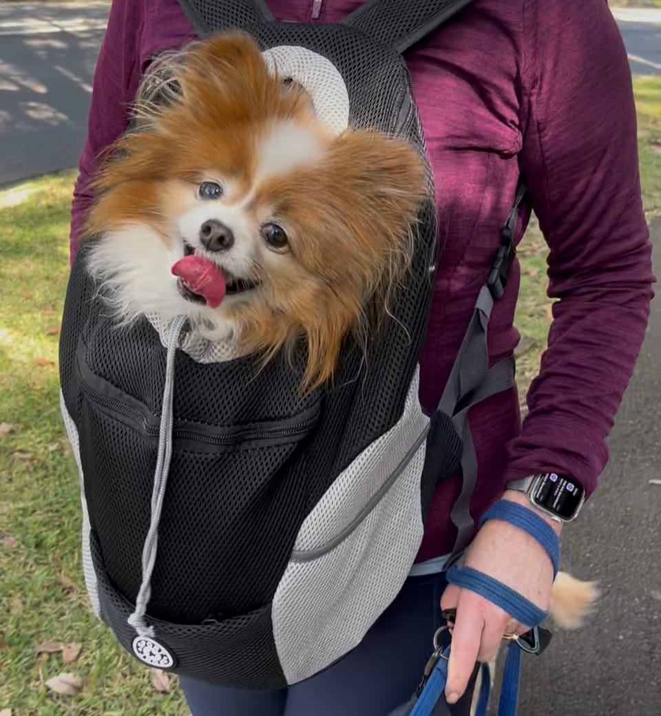 Customer photo review of Dog Backpack