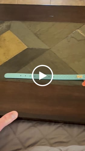 Customer video review of QuiltFLY Signature Gold Bones Collar