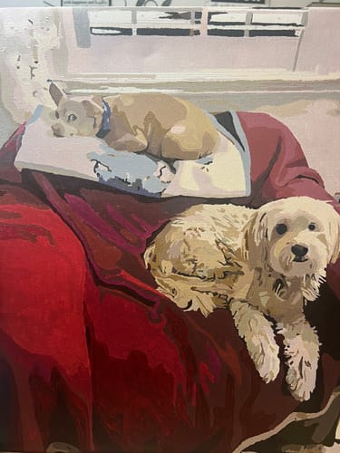 Customer photo review of Custom Paint By Numbers Kit