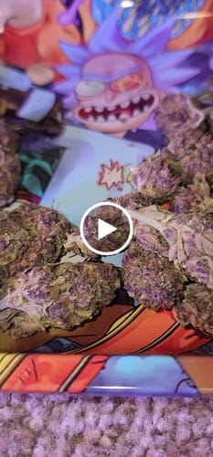 Customer video review of Granddaddy Purple - 28 Grams - Indica