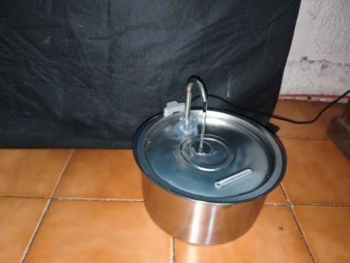 Customer photo review of Fontaine à eau Anti-Bactérienne - Chien & Chat