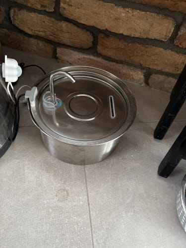 Customer photo review of Fontaine à eau Anti-Bactérienne - Chien & Chat