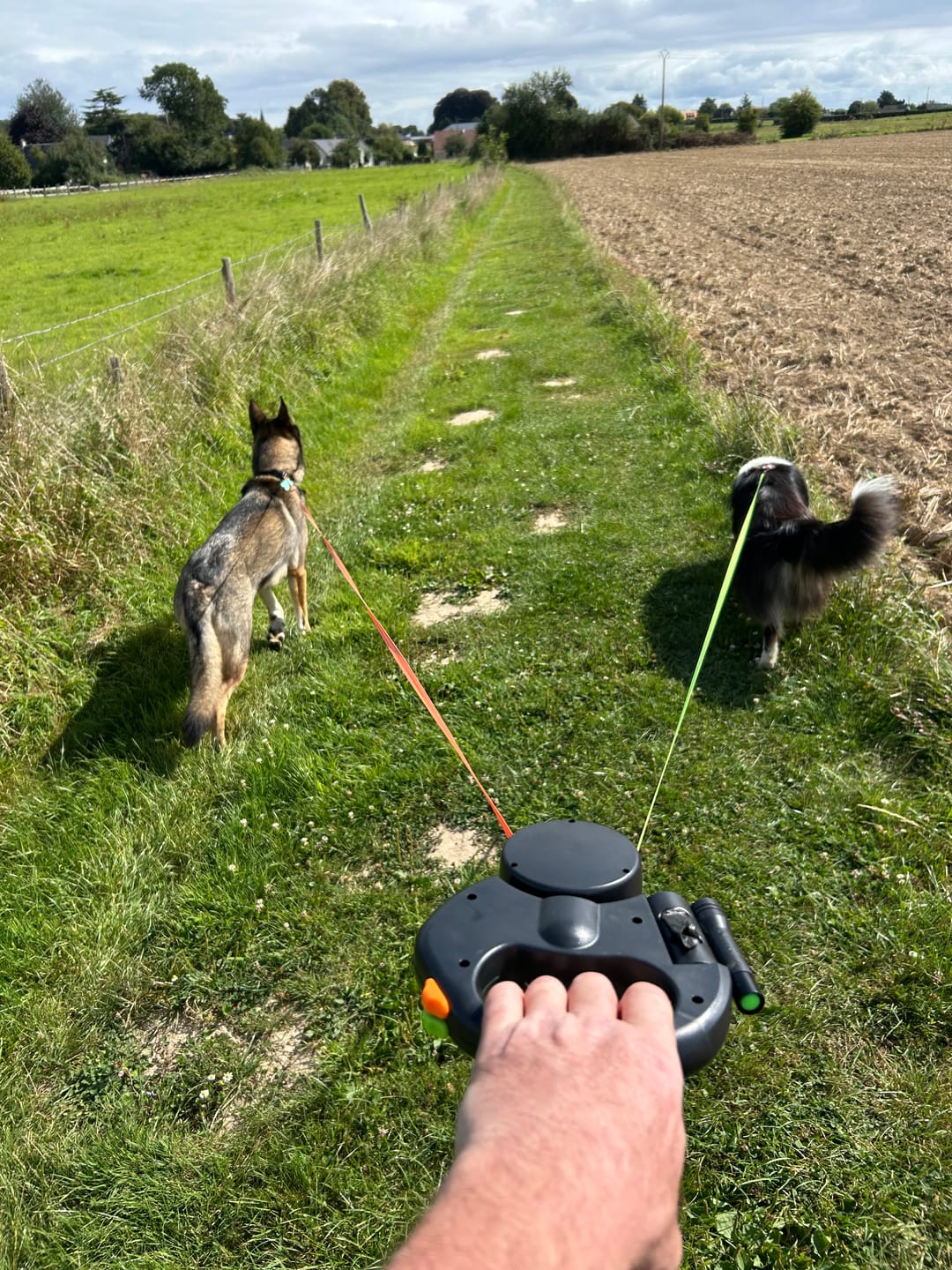 Customer photo review of Double laisse rétractable anti-emmêlement - Aventure Canine™