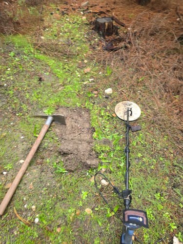 Customer photo review of CC Picks