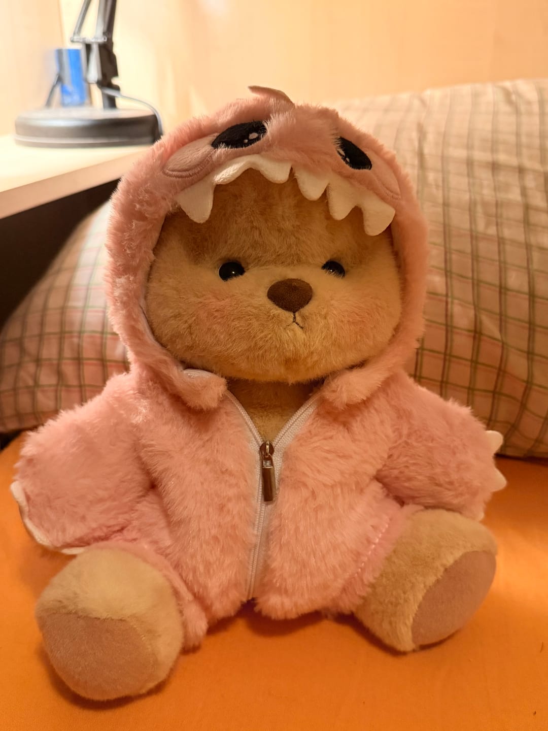 Customer photo review of Pink Dino