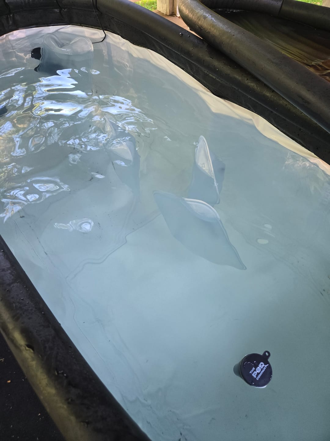 Customer photo review of The Ice Brick