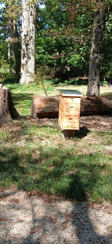 Customer photo review of BeeCastle Logo Free 8 Frame Beeswax Dipped Unassembled Beehive:2 Deep Cedar Wood Bee Boxes, 1 Medium Cedar Wood Bee Box for Superior Beekeeping.