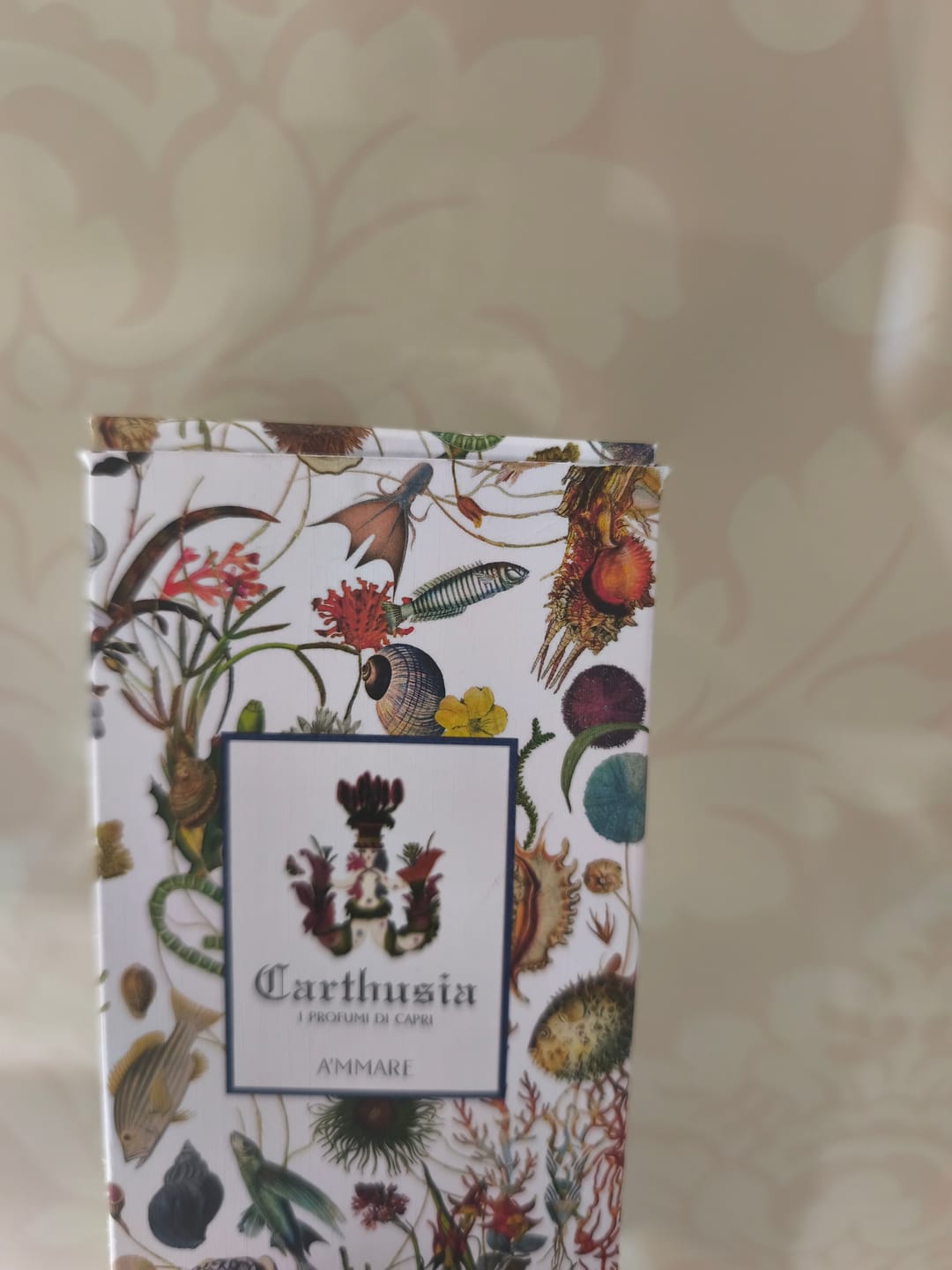 Customer photo review of CARTHUSIA - A'MMARE