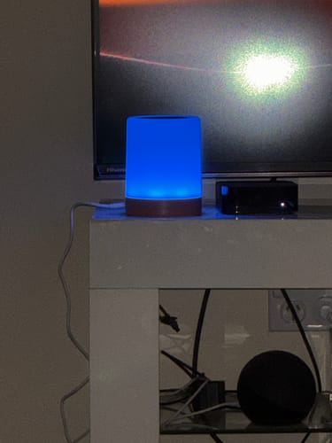 Customer photo review of Friendship Lamp