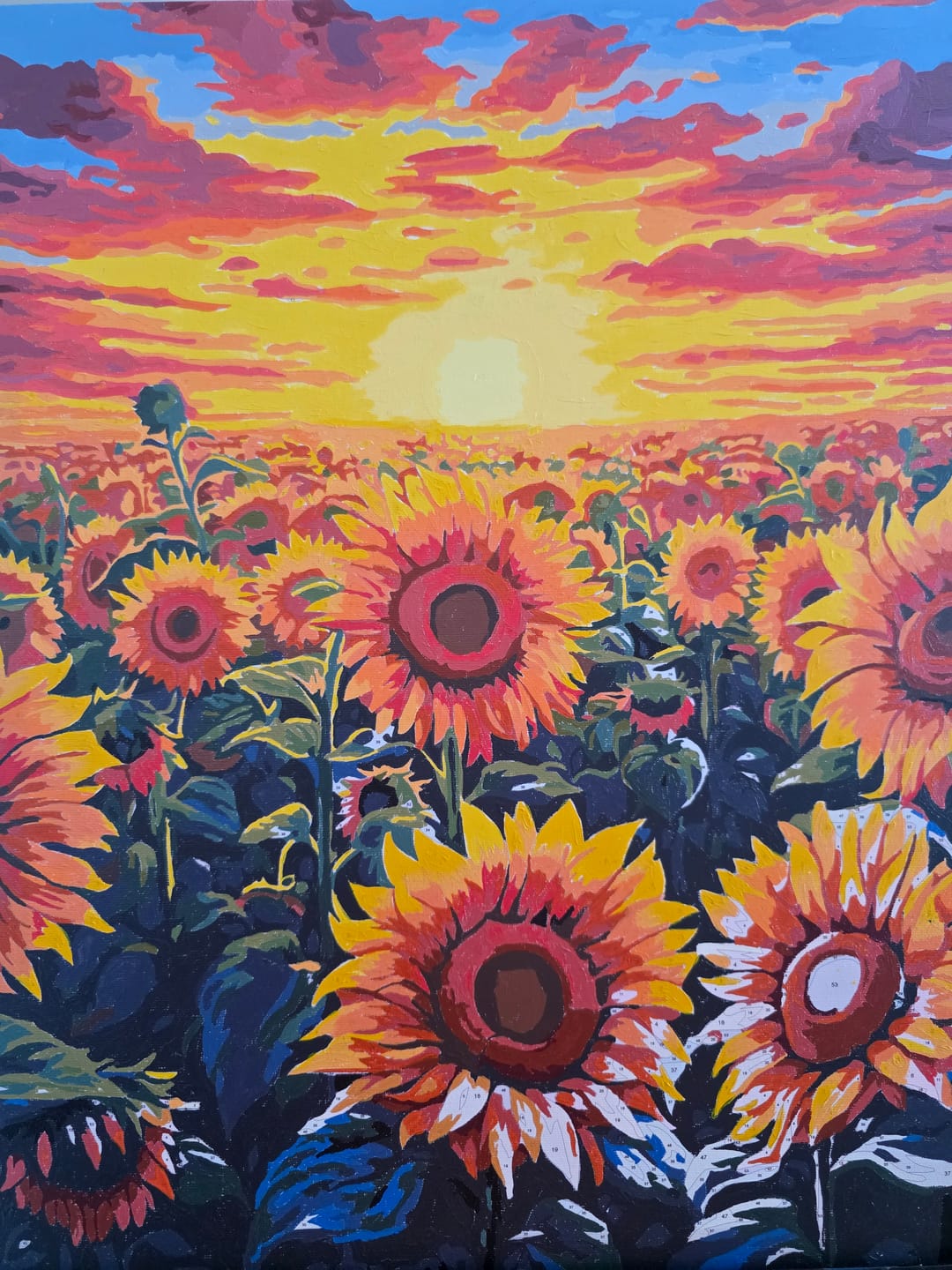 Customer photo review of Sunflower Dusk