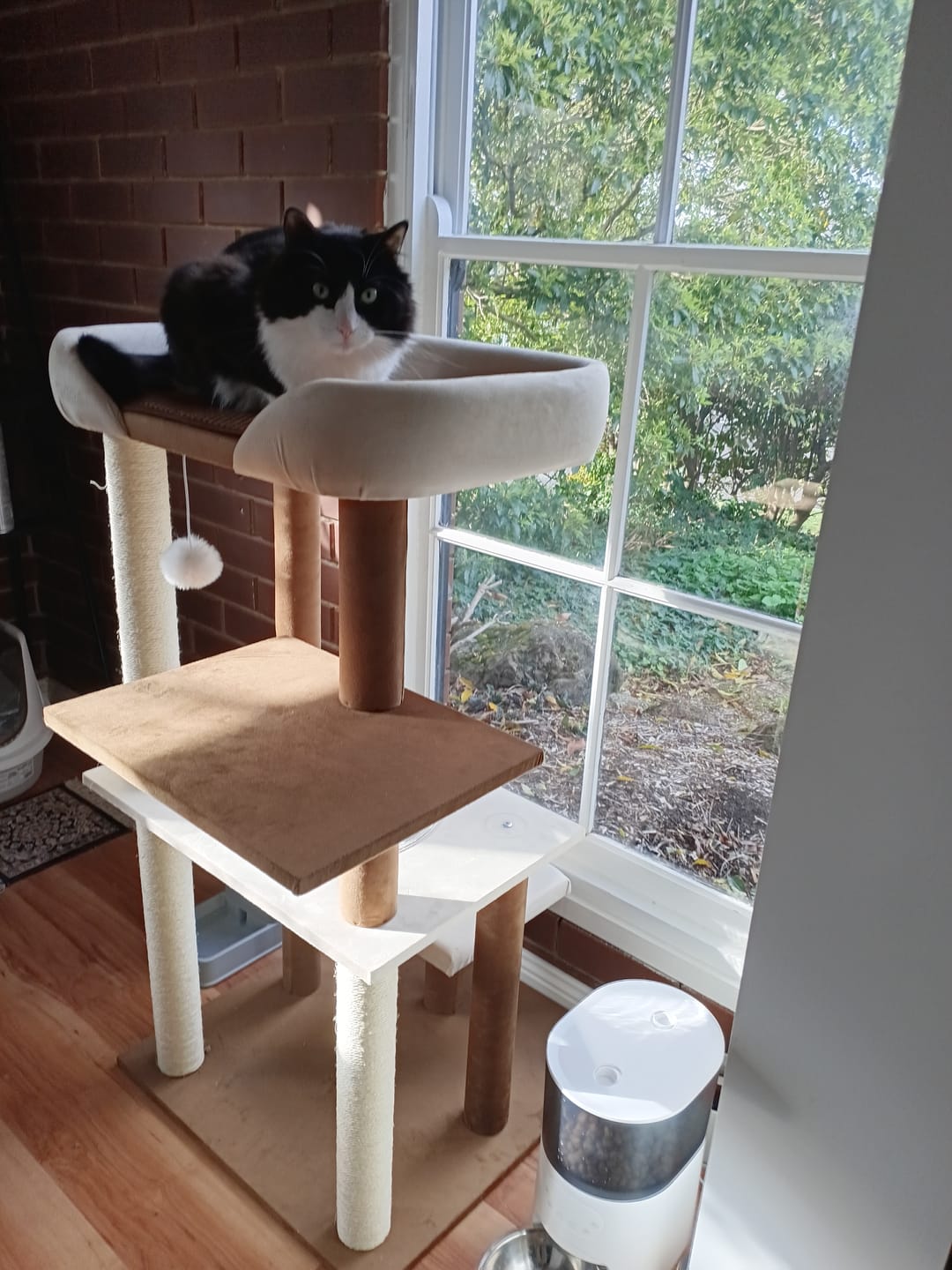 Customer photo review of Luxury Japanese-Style Cat Tree with Large Bed – 90906