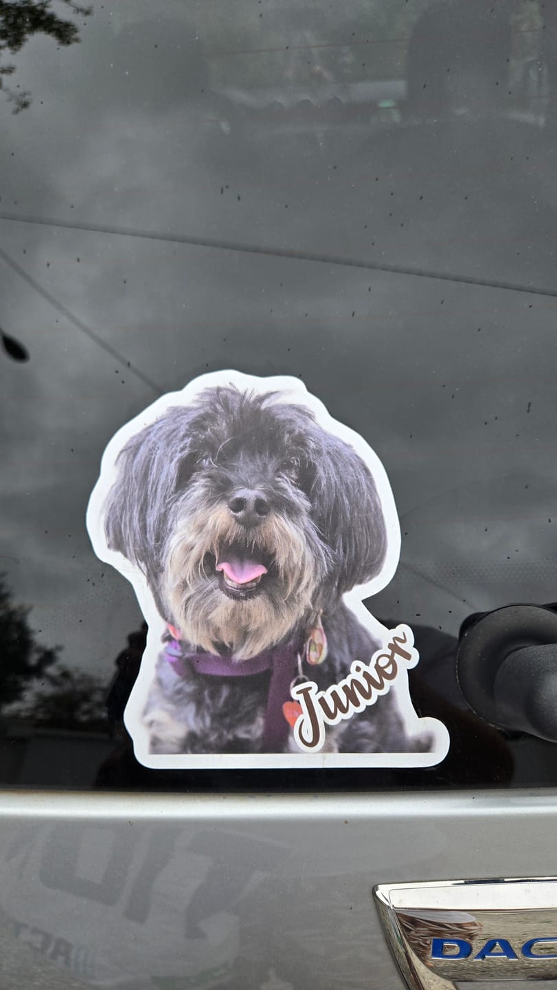 Customer photo review of Votre photo d'animal - Autocollant pour voiture personnalisé