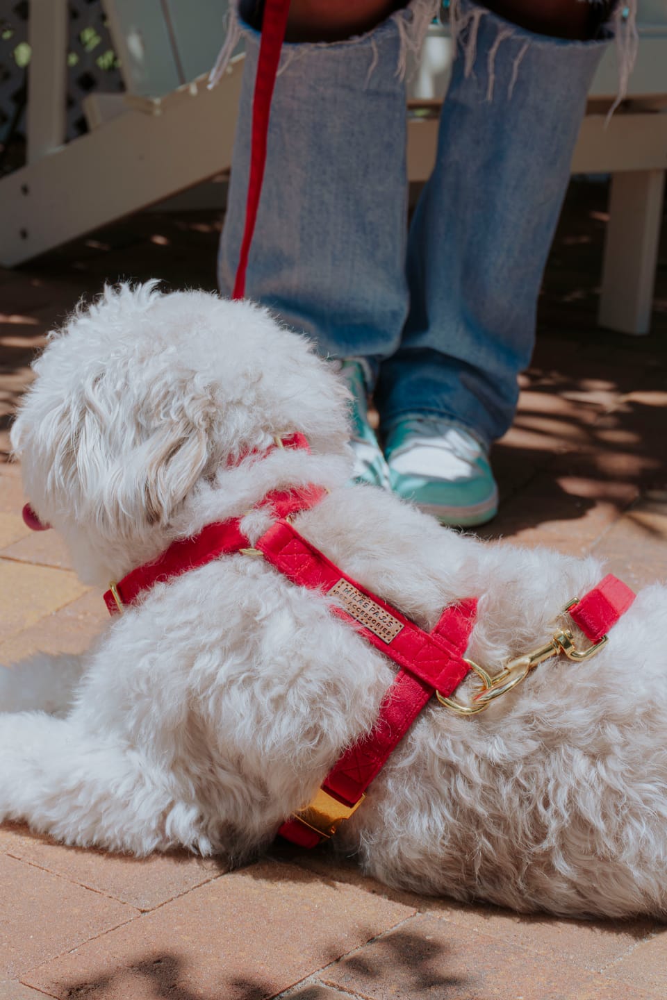 Customer photo review of Velvet Deluxe Walking Bundle