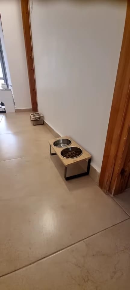 Customer photo review of CatEat - Futternapf für treue Begleiter für gesunde Wirbelsäule und entspanntes Fressen