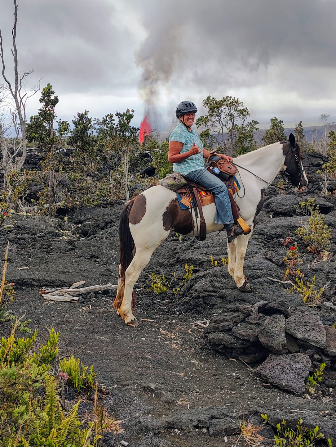 Customer photo review of Renegade® Viper Shield™ Hoof Boot - Cosmic Orange
