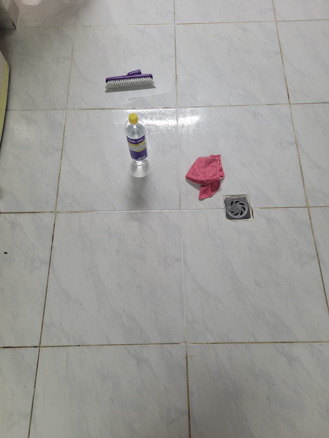 Customer photo review of Cepillo limpia juntas (mango abatible)