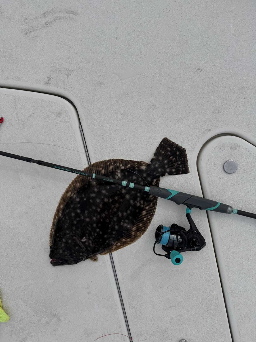 Customer photo review of Carbon Elite II Spinning Reels