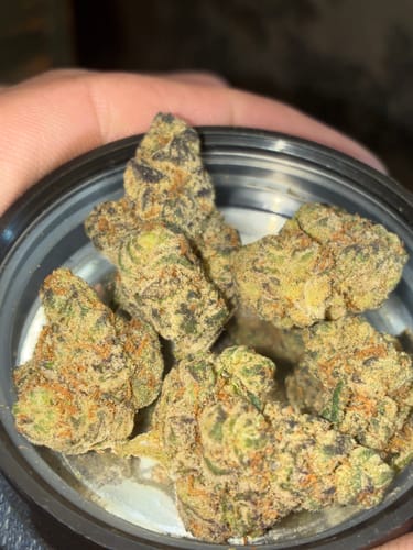 Customer photo review of Dank Dynasty Exotic THCA Flower