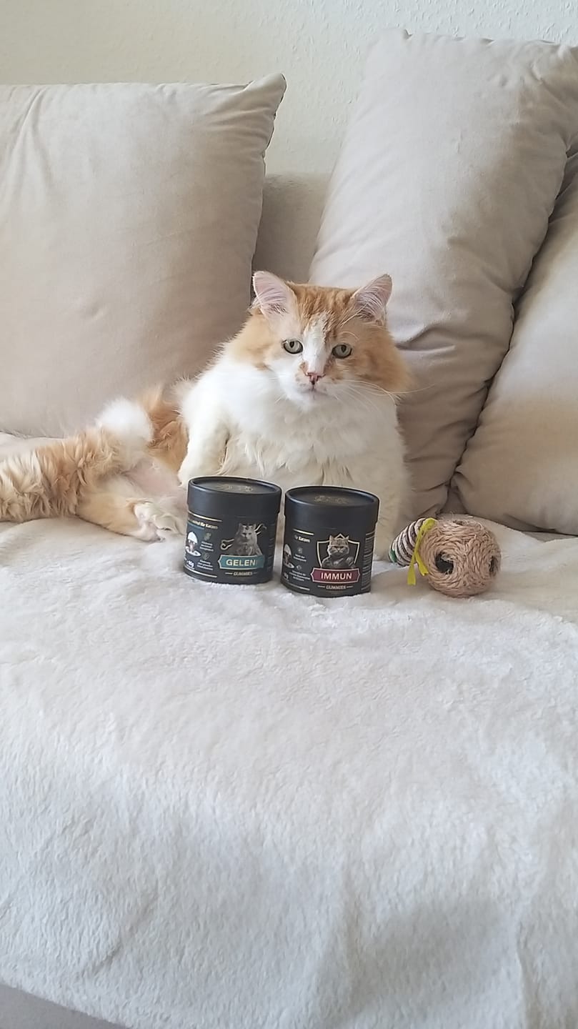 Customer photo review of Gelenk Gummies