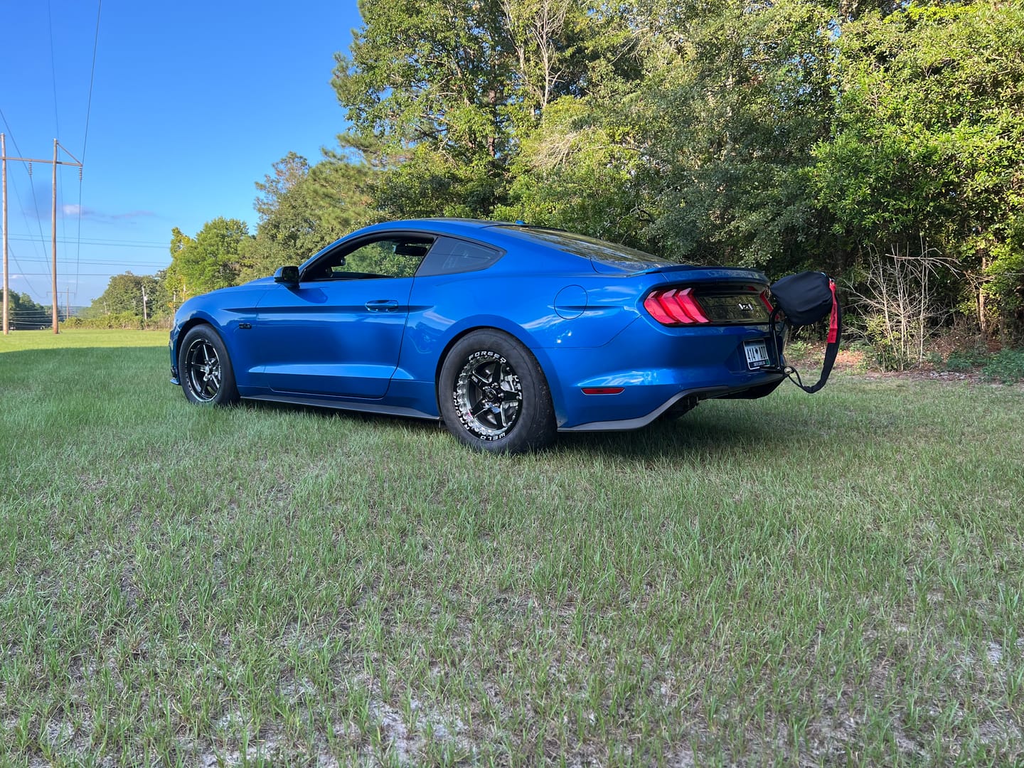 Customer photo review of 2015-22 Mustang S550 Parachute Mount 14-170