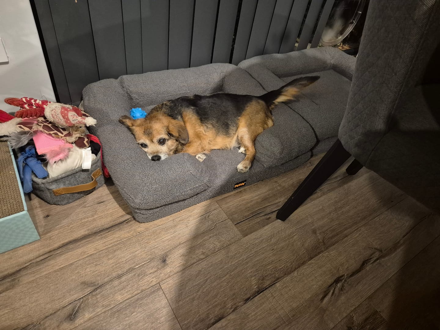Customer photo review of Pet Boucle Bed for Dog & Cat