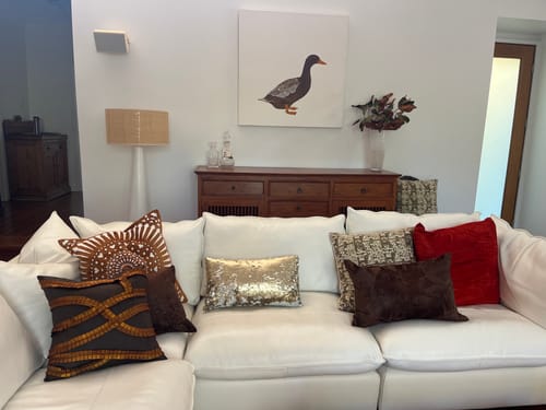 Customer photo review of Mayan Sphere Toffee Lounge Cushion 55 x 55cm